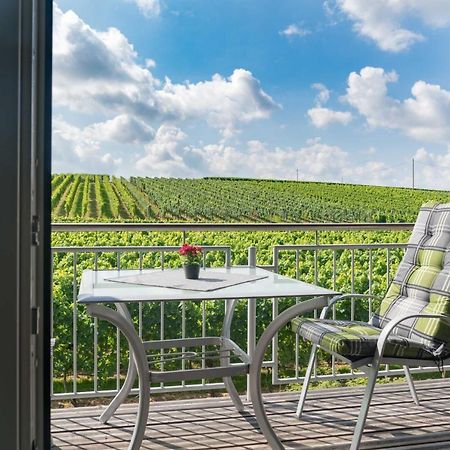Winzerhof Schmid Apartment Schwaigern Екстериор снимка